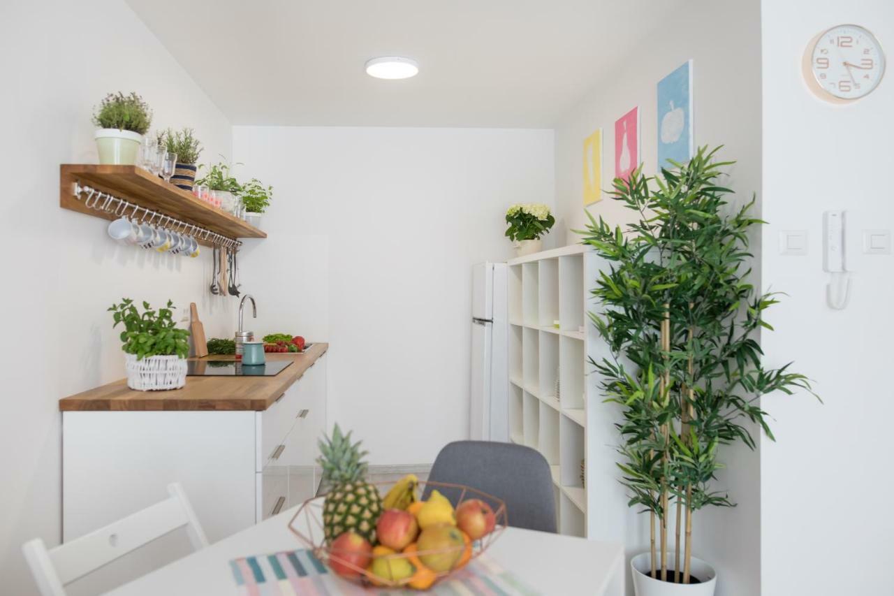 Family Apartment With Garden 卢布尔雅那 外观 照片