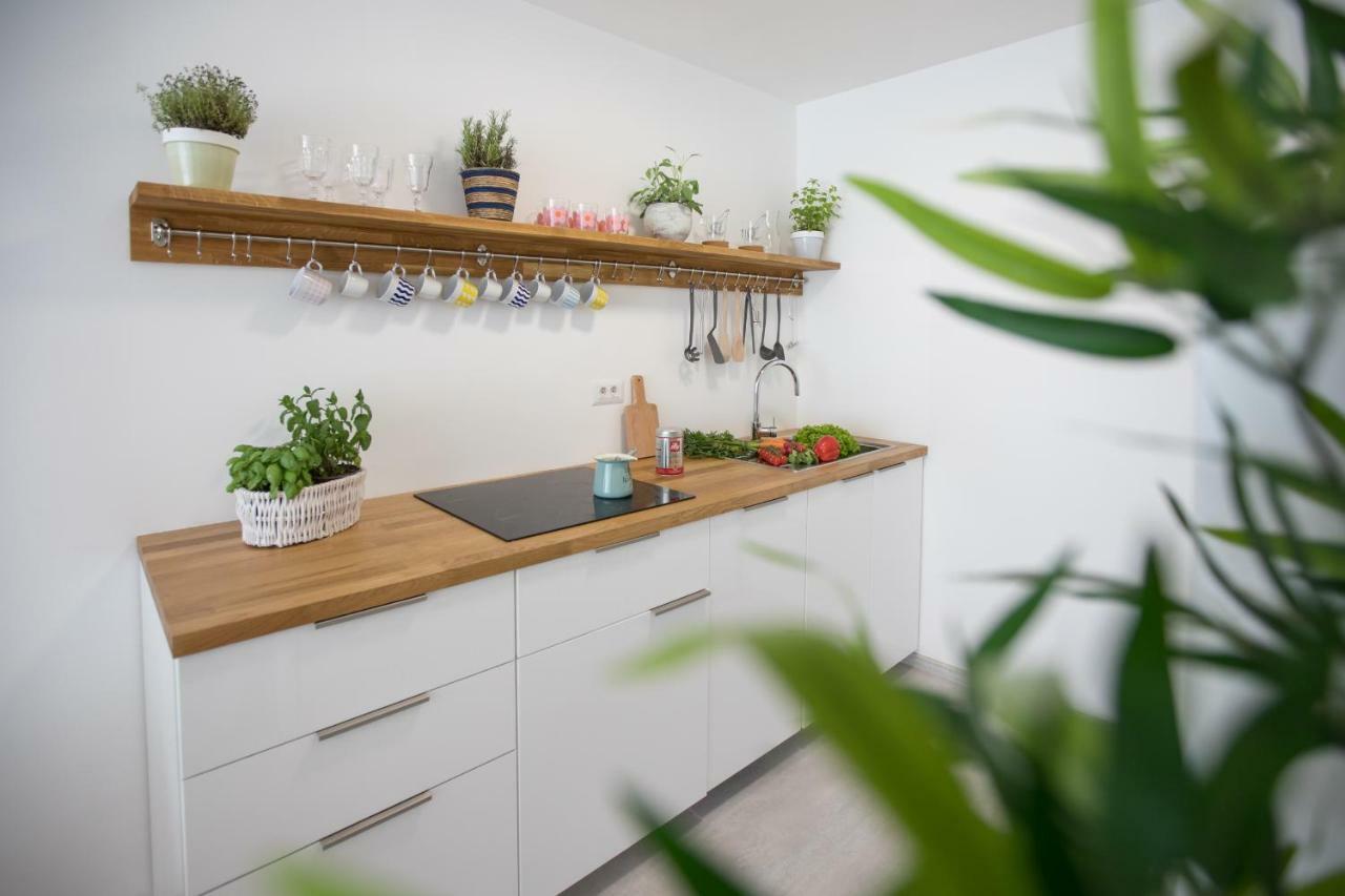 Family Apartment With Garden 卢布尔雅那 外观 照片