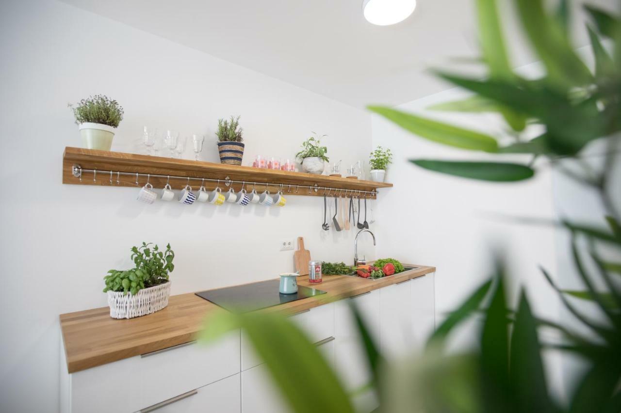 Family Apartment With Garden 卢布尔雅那 外观 照片